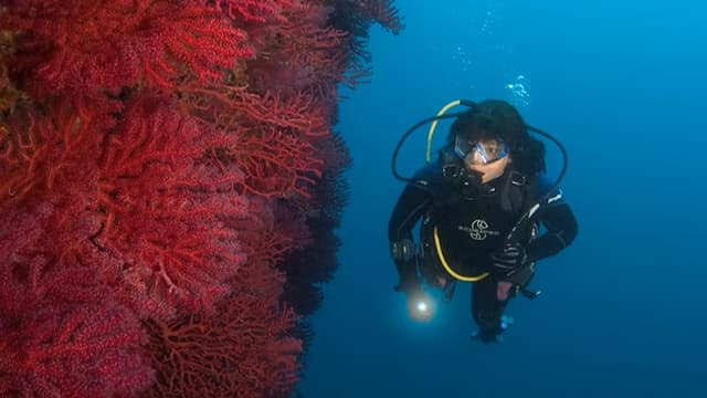 CURSO ADVENTURE DIVER 1-2 DÍAS