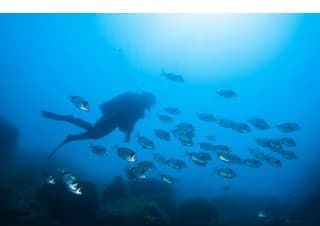 CURSO SCUBA DIVER 2-4 DÍAS CALA JONCOLS