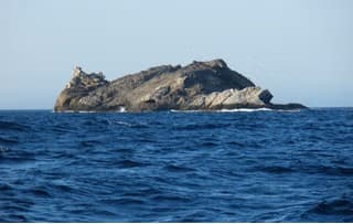 DOBLE INMERSIÓN EN MASSA D'OR